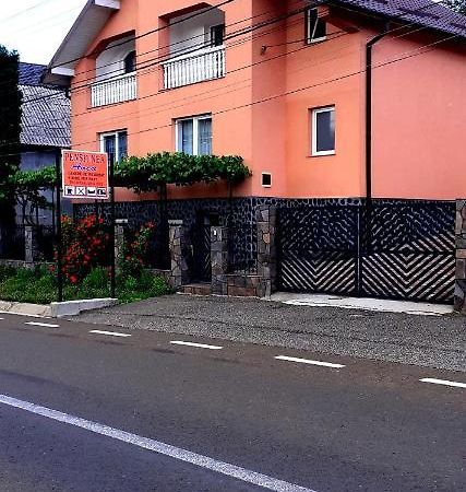 Pensiunea Anca Rona de Jos Exterior photo